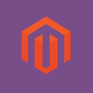 Enterprise E-Commerce Platform Magento