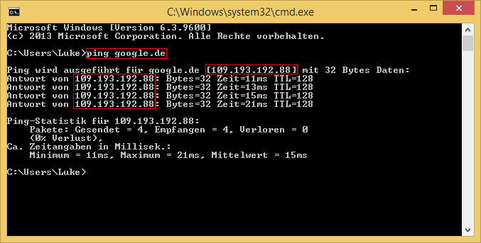 IP Adresse der JTL Shop Domain mit dem Ping Befehl ermitteln.