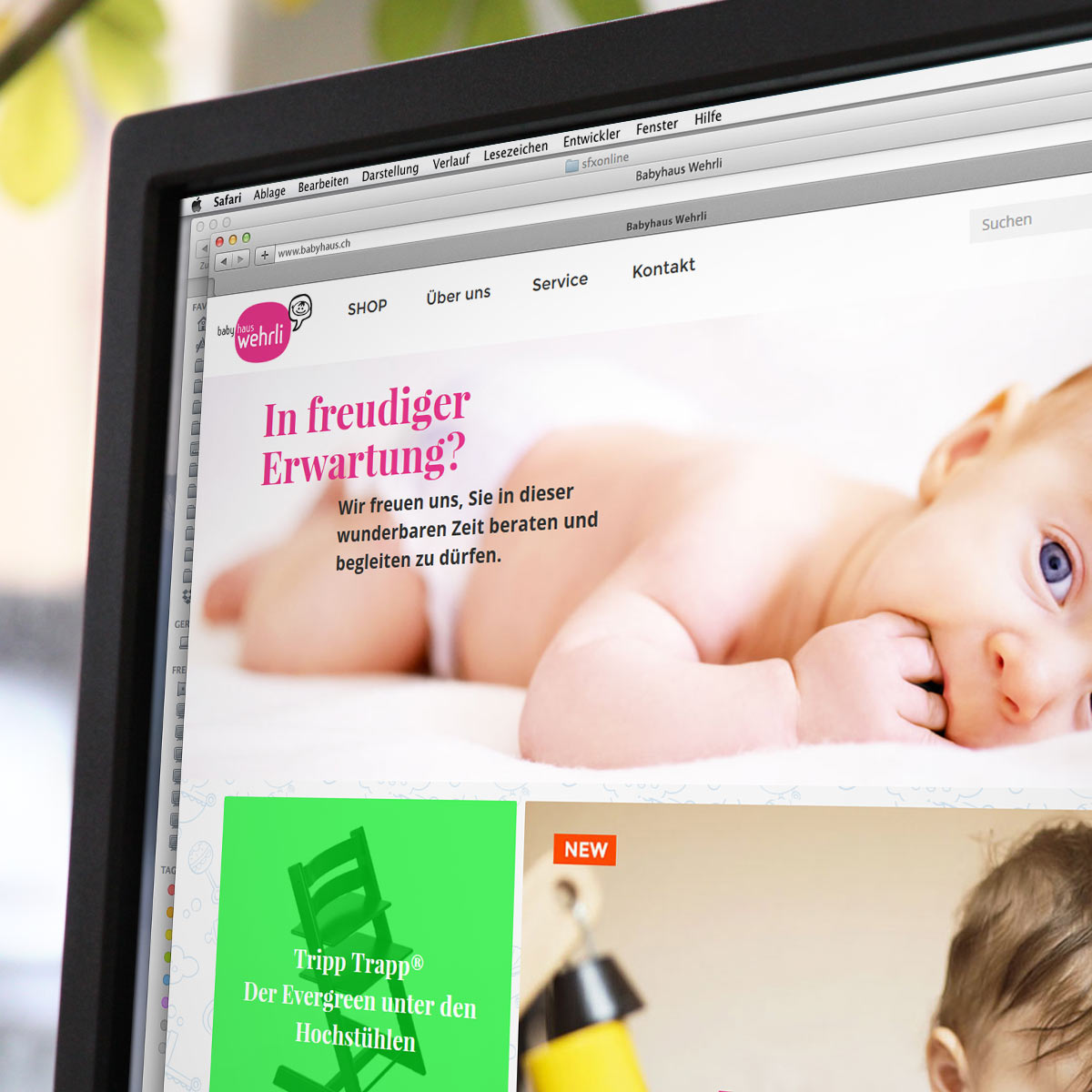 JTL Shop Referenz babyhaus.ch